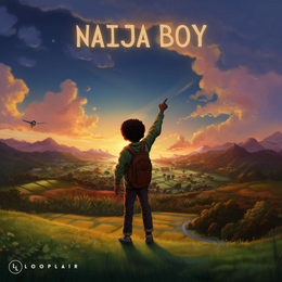NAIJA BOY | AFROBEAT SAMPLE SUITE